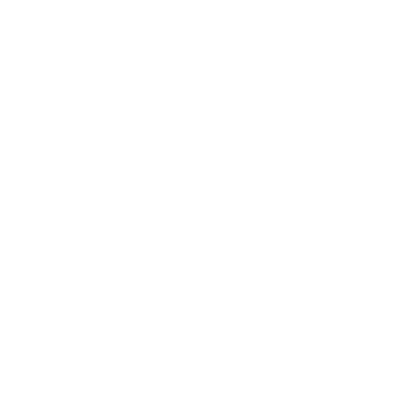 dollar car rental